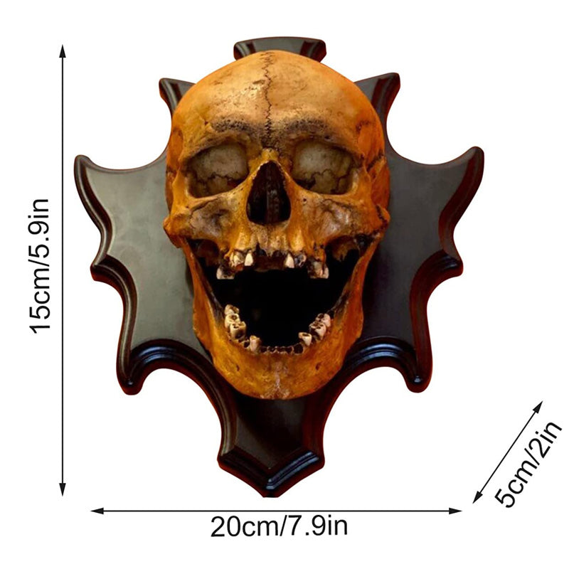 Skall Nattlampa Väggdekoration