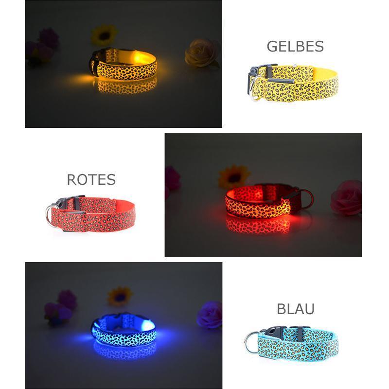 LED lysande hundhalsband