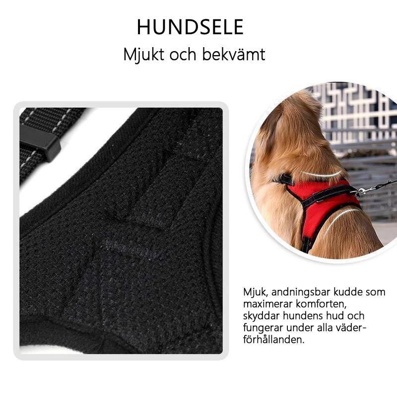 Hundsele